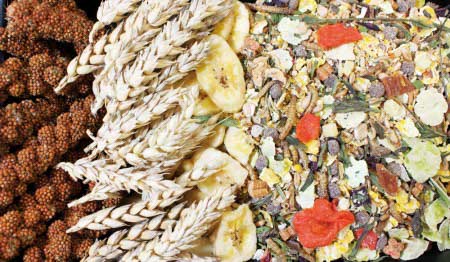 Jr Farm Hamstermat - 500g (5-13655)