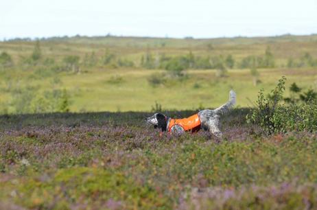 Jægerens Markeringsdekken,  Orange (12-1501-1500011234)
