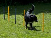 Agility Startsett XXL (56-A2-SAD2037-P)