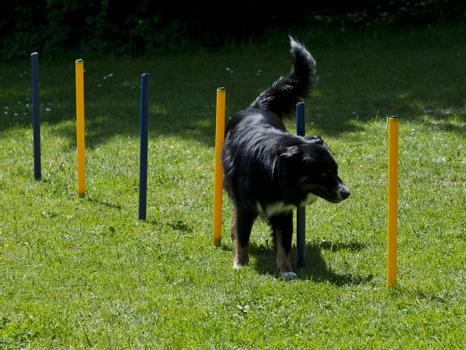 Agility Startsett XXL (56-A2-SAD2037-P)