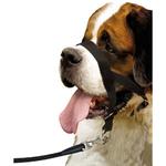 Antitrekk Grime til Hund (14-502598)