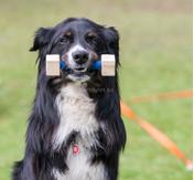 LP Treningssett (56-I5)