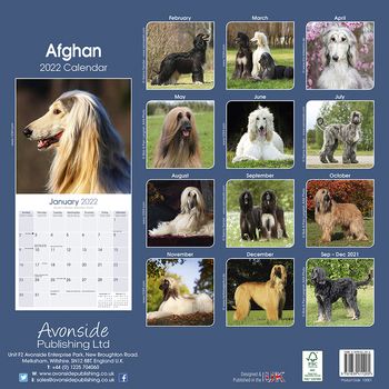 Afghansk Mynde Kalender 2022 (24-10001)