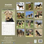 Airedale Terrier Kalender 2022 (24-10002)