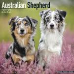 Australian Shepherd Kalender 2022 (24-10009)