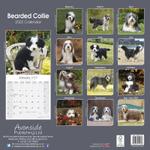 Bearded Collie Kalender 2022 (24-10013)
