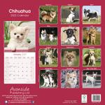 Chihuahua Kalender 2022 (24-10027)
