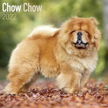 Chow Chow Kalender 2022 (24-10028)