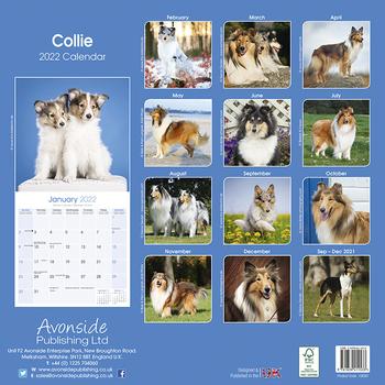Collie Kalender 2022 (24-10030)