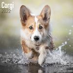 Corgi Kalender 2022 (24-10031)