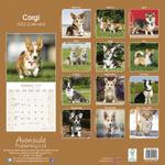 Corgi Kalender 2022 (24-10031)