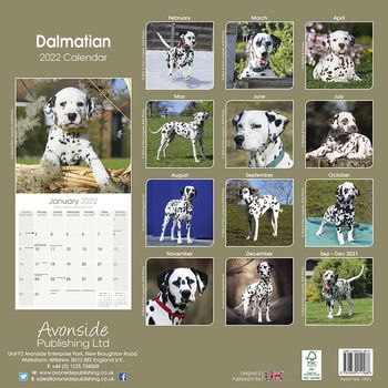Dalmatiner Kalender 2022 (24-10033)