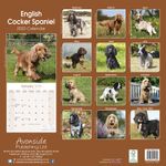 Cocker Spaniel Kalender 2022 (24-10029)