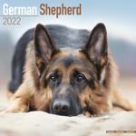 Schäferhund Kalender 2022 (24-10039)