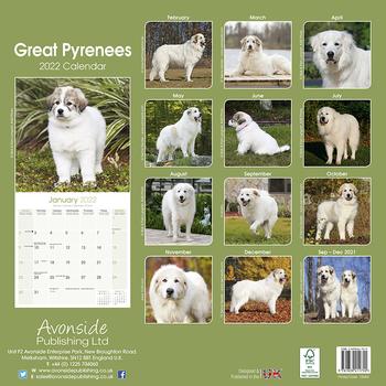 Pyreneerhund Kalender 2022 (24-10044)