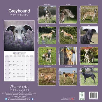 Greyhound Kalender 2022 (24-10045)
