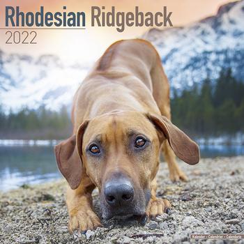 Rhodesian Ridgeback Kalender 2022 (24-10063)