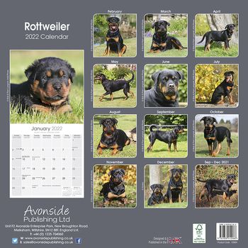Rottweiler Kalender 2022 (24-10064)