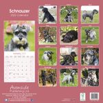 Schnauzer Kalender 2022 (24-10068)