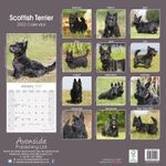 Skotsk Terrier Kalender 2022 (24-10069)
