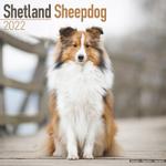 Shetland Sheepdog Kalender 2022 (24-10071)