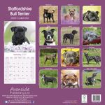 Staffordshire Bull terrier 2022 (24-10076)