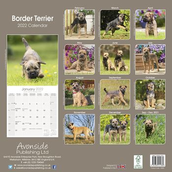 Border Terrier Kalender 2022 (24-10081)