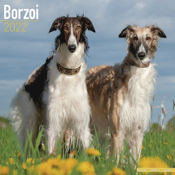 Borzoi Kalender 2022 (24-10082)