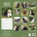 Labrador retriever mixed Kalender 2022 (24-10086)