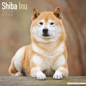 Shiba Inu Kalender 2022 (24-10089)