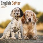 Engelsk Setter Kalender 2022 (24-10091)