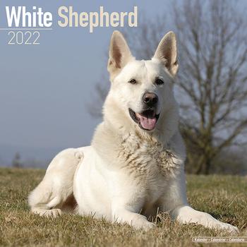 Hvit Gjeterhund Kalender 2022 (24-10095)
