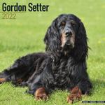 Gordon Setter Kalender 2022 (24-10114)