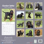 Gordon Setter Kalender 2022 (24-10114)