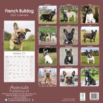 Fransk Bulldog Kalender 2022 (24-10038)