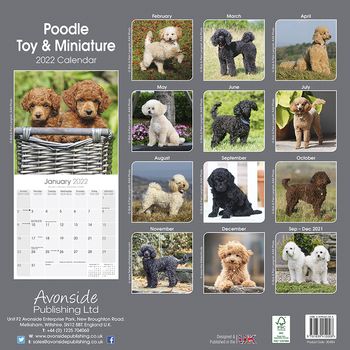 Puddel toy&dverg Kalender 2022 (24-30484)