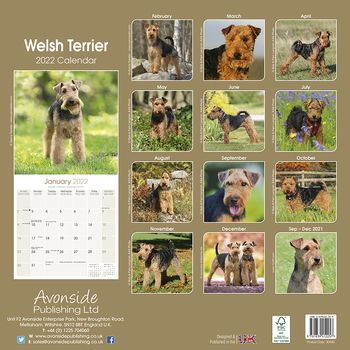 Welsh terrier Kalender 2022 (24-30485)