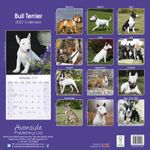 Bull Terrier Kalender 2022 (24-10023)