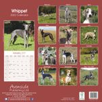 Whippet Kalender 2022 (24-10079)