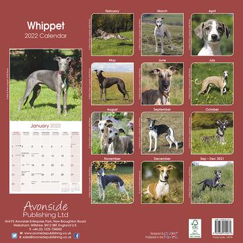 Whippet Kalender 2022 (24-10079)
