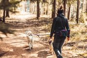 Non-stop Bag til Trekking Løpebelte - Lilla (44-1226)