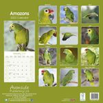 Amazons - Kalender 2022 (24-11083)