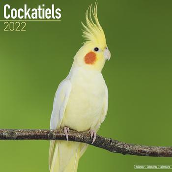 Cockatiels - Kalender 2022 (24-11085)