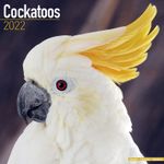 Cockatoos - Kalender 2022 (24-11086)