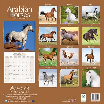 Araberhest - Kalender 2022 (24-30123)