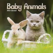  Baby Animals - Kalender 2022