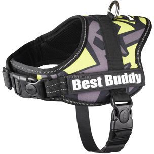 Best Buddy Hundesele - Grønn (14-518709-1500012364)