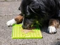 Ladi Mat Slikkematte  (56-SL318820)