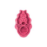  Kong Zoom Groom Børste