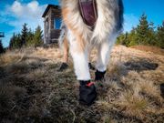 Non-stop Solid Socks 4stk - Svart (44-1311-1500015607)